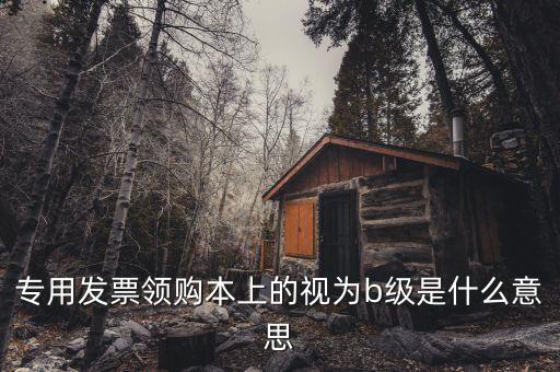 專用發(fā)票領購本上的視為b級是什么意思