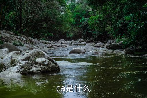 稅務(wù)ca證書是什么意思，報(bào)稅的ca證書是怎么用的啊我怎么安裝了還是不能用呢