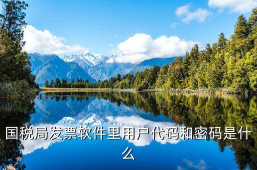 國稅用戶密碼是什么，你好我想問你 一下 網(wǎng)上國稅的用戶名和密碼是什么