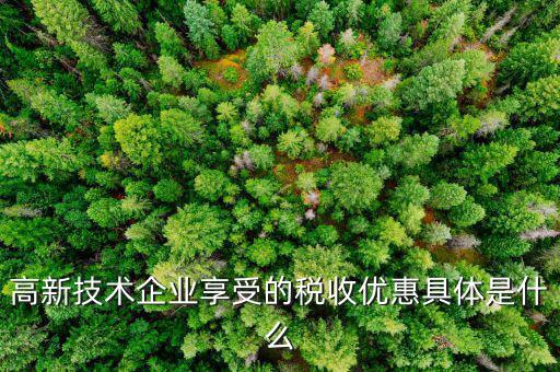 什么是享受稅收優(yōu)惠權(quán)，什么是稅收優(yōu)惠政策