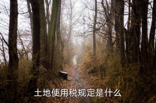 大宗商品土地使用稅指什么，土地使用稅