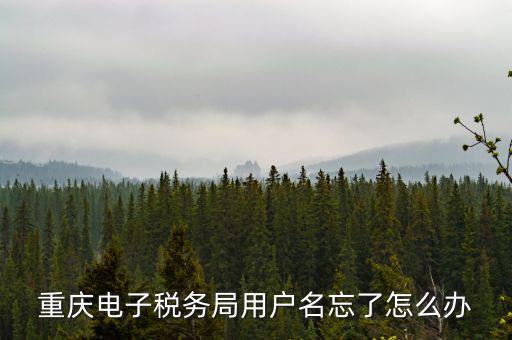 重慶電子稅務(wù)局的網(wǎng)址是什么意思，重慶市國稅電子申報(bào)委托繳稅的網(wǎng)址