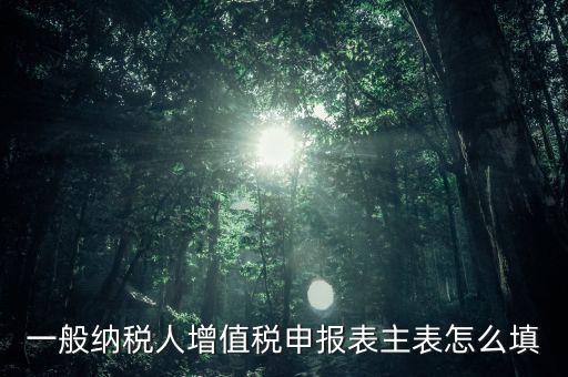 一般納稅人主表是什么，一般納稅人增值稅申報(bào)表主表怎么填