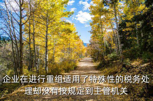 特殊重組什么時(shí)候備案，企業(yè)在進(jìn)行重組適用了特殊性的稅務(wù)處理卻沒(méi)有按規(guī)定到主管機(jī)關(guān)
