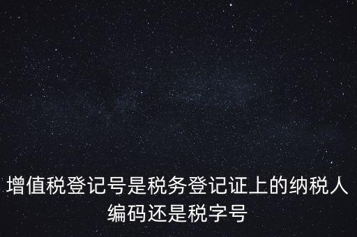 一般納稅人登記編號(hào)是什么，納稅人編號(hào)是什么