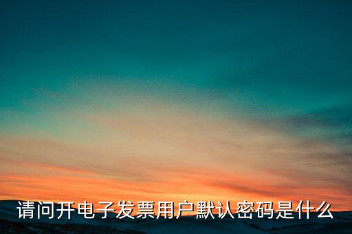 重慶國稅電子發(fā)票登錄密碼是什么意思，國稅局發(fā)票軟件里用戶代碼和密碼是什么
