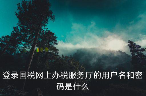 稅務(wù)查詢賬號(hào)密碼是什么意思，登錄國(guó)稅網(wǎng)上辦稅服務(wù)廳的用戶名和密碼是什么