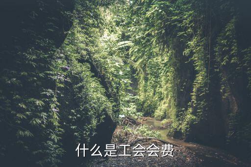 什么企業(yè)交工會(huì)經(jīng)費(fèi)，繳工會(huì)經(jīng)費(fèi)的依據(jù)是什么