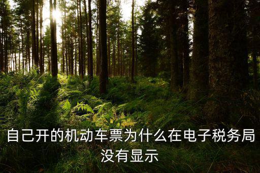 為什么登錄電子稅務(wù)局沒有反映，自己開的機(jī)動(dòng)車票為什么在電子稅務(wù)局沒有顯示
