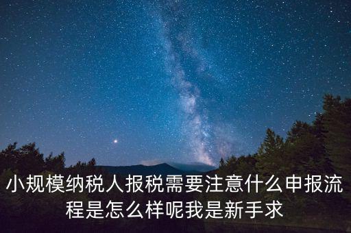 報(bào)稅需要注意什么手續(xù)，一般納稅人每個(gè)月怎么報(bào)稅報(bào)稅時(shí)要注意什么流程是怎么樣的