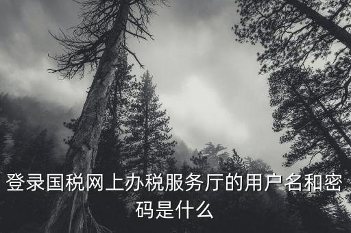 登錄國稅網上辦稅服務廳的用戶名和密碼是什么