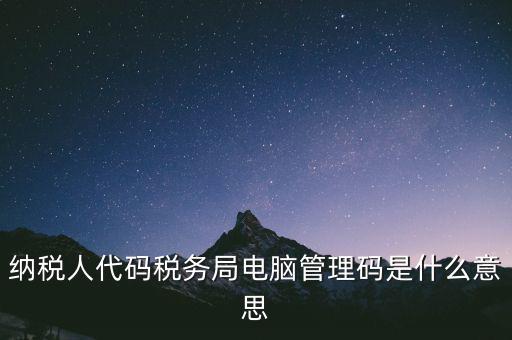 納稅人代碼稅務(wù)局電腦管理碼是什么意思