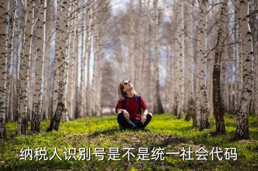 納稅人識別號 統(tǒng)一社會代碼是什么，納稅人識別號就是統(tǒng)一社會信用代碼嗎