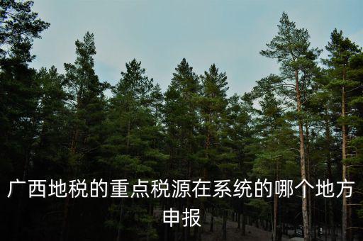 廣西地稅網(wǎng)是什么，進(jìn)入廣西地稅網(wǎng)后為什么網(wǎng)上辦稅大廳會(huì)進(jìn)不去