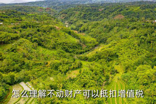 怎么理解不動財產可以抵扣增值稅