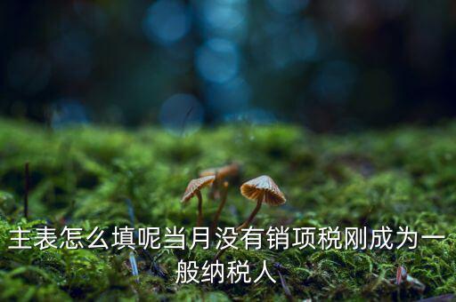 一般納稅人主表是什么意思，一般納稅人申報(bào)表主表的申明人必須輸入是什么意思