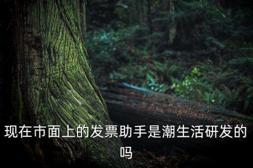 國稅發(fā)票助手是干什么的，現(xiàn)在市面上的發(fā)票助手是潮生活研發(fā)的嗎