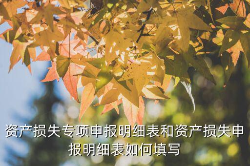 什么是專項資產(chǎn)損失申報表，所得稅申報表怎么填22資產(chǎn)損失