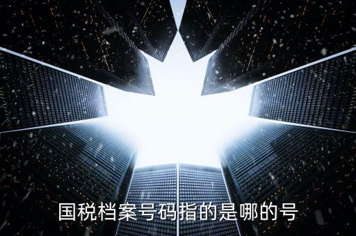 國(guó)稅號(hào)碼是什么，什么是國(guó)稅檔案號(hào)