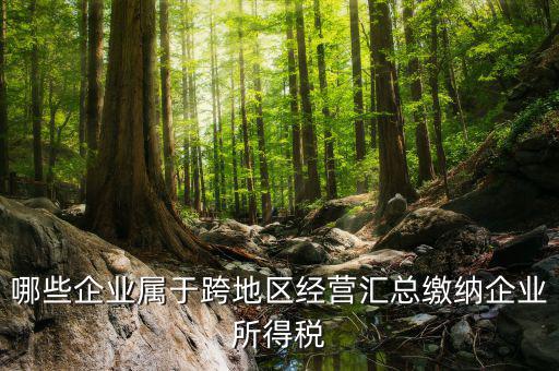 跨地區(qū)經(jīng)營匯總納稅指的是什么，哪些企業(yè)屬于跨地區(qū)經(jīng)營匯總繳納企業(yè)所得稅