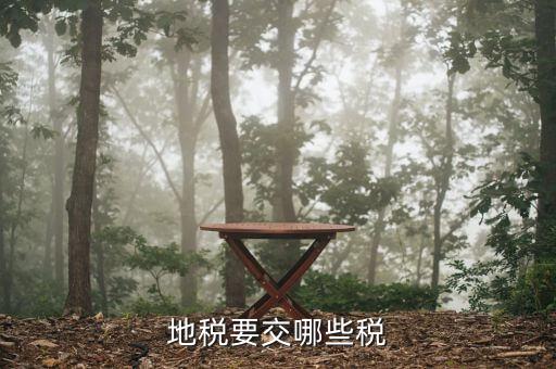 地方稅務(wù)局都涉及到什么稅種，地稅局系統(tǒng)征收哪些稅種