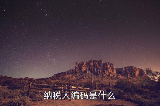 納稅人國(guó)稅編碼是什么意思，納稅人編碼是什么