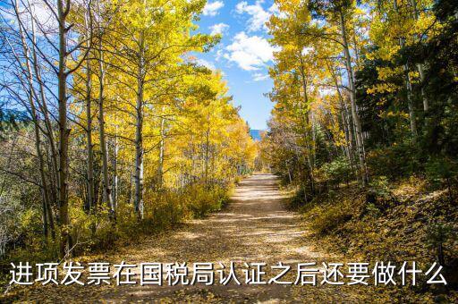 稅務(wù)認(rèn)定之后做什么，新辦企業(yè)稅務(wù)登記證下來(lái)后接下來(lái)會(huì)計(jì)該做些什么工作