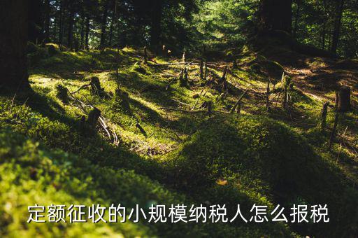 小規(guī)模納稅人 什么定額申報，定額征收的小規(guī)模納稅人怎么報稅