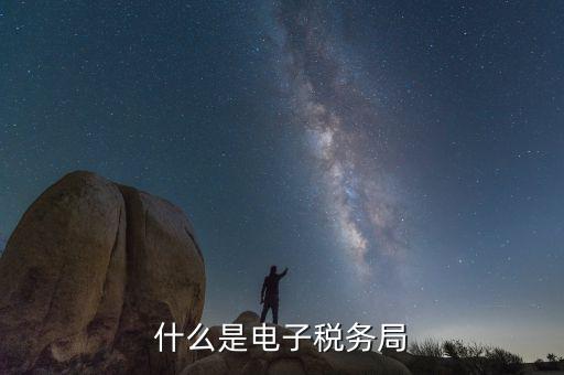 稅務(wù)網(wǎng)廳是什么意思，登錄國(guó)稅網(wǎng)上辦稅服務(wù)廳的用戶(hù)名和密碼是什么