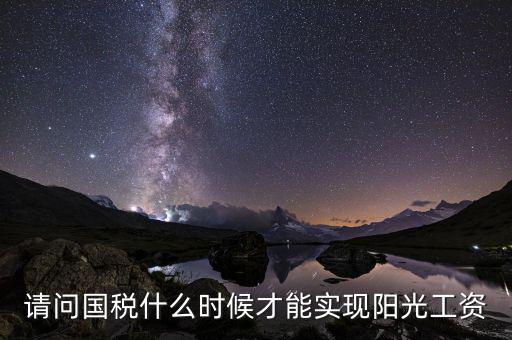 請問國稅什么時候才能實現陽光工資