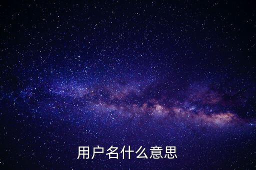 微稅用戶名是什么意思啊，用戶名什么意思