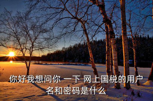 電子稅務(wù)的賬號(hào)密碼是什么，你好我想問你 一下 網(wǎng)上國(guó)稅的用戶名和密碼是什么
