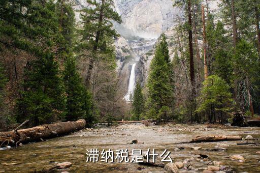 什么是延期納稅，遞延繳納稅什么意思
