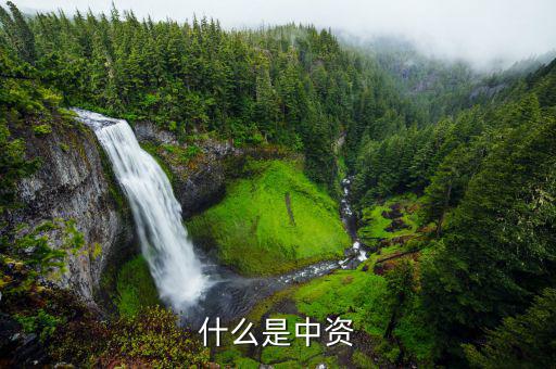 什么是境外中資控股居民，境外注冊中資控股居民企業(yè)和非境內(nèi)注冊居民企業(yè)區(qū)別