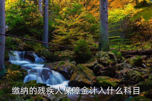 殘疾人就業(yè)保障金稅目是什么，殘疾人就業(yè)保障金應(yīng)計什么會計科目