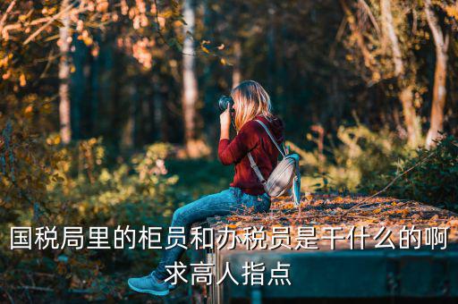 國稅局導(dǎo)稅員干什么的，國稅局里的柜員和辦稅員是干什么的啊求高人指點(diǎn)