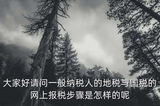 地稅用戶名是什么河北，我是新手如何使用河北地稅網(wǎng)網(wǎng)上報(bào)稅知道的老師請告知謝了