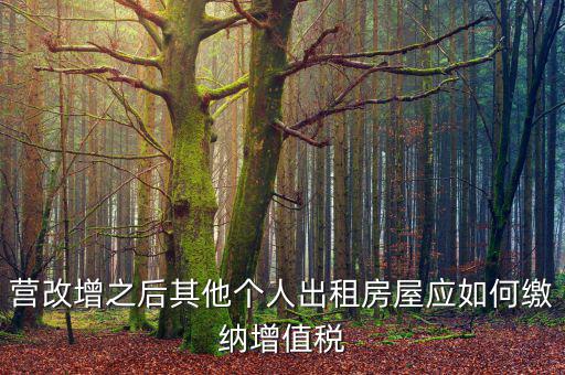 營改增之后其他個(gè)人出租房屋應(yīng)如何繳納增值稅