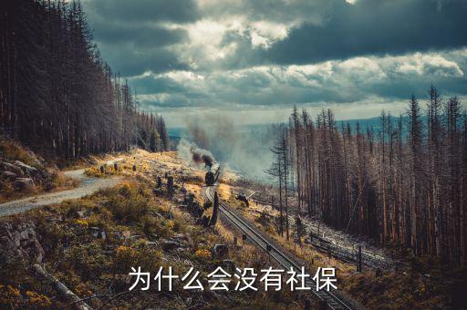 申報社保為什么沒有社保內(nèi)容，為什么會沒有社保