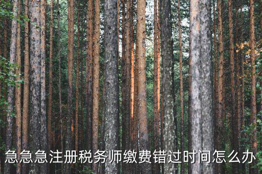 廣東省稅務(wù)師會費什么時候交，廣州2013年的匯算清繳報告什么時候交