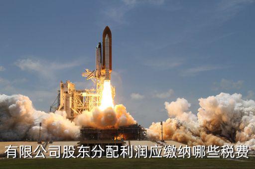 公司股東需要交什么稅，有限公司股東分配利潤應(yīng)繳納哪些稅費