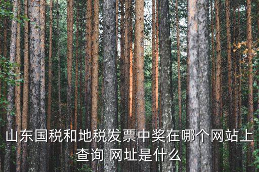 發(fā)票領(lǐng)用什么網(wǎng)站，誰知道發(fā)票兌獎(jiǎng)上那個(gè)網(wǎng)站