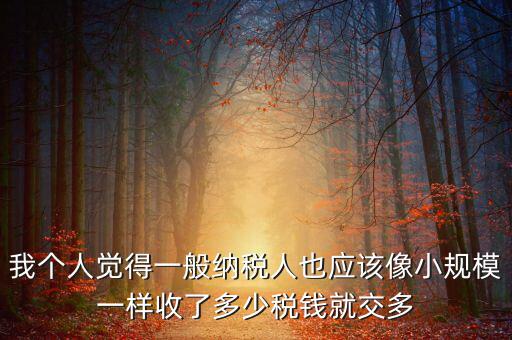 我個(gè)人覺(jué)得一般納稅人也應(yīng)該像小規(guī)模一樣收了多少稅錢(qián)就交多