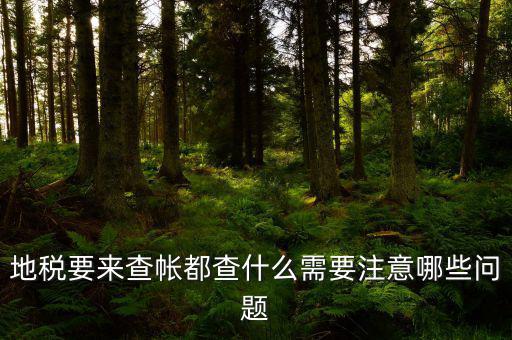 地稅主要查什么，地稅查賬一般都查哪些方面呢