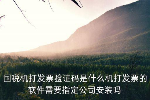 北京國稅電子發(fā)票驗(yàn)證密碼是什么，國稅局發(fā)票軟件里用戶代碼和密碼是什么
