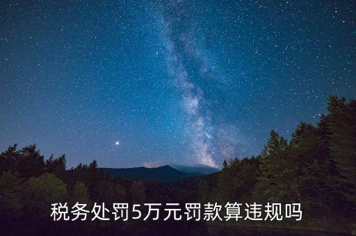 稅務(wù)重大違規(guī)是指什么，登錄國(guó)稅國(guó)稅的違章信息是什么意思