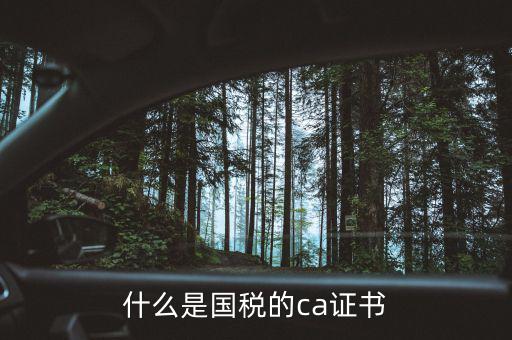 ca稅務(wù)數(shù)字證書是什么，什么是國稅的ca證書
