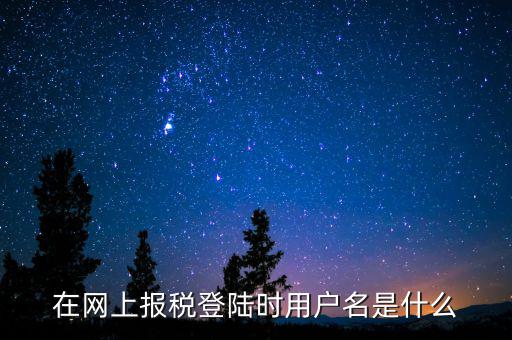 在網上報稅登陸時用戶名是什么