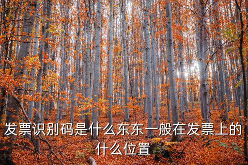 河北發(fā)票識別碼是什么意思，發(fā)票的識別碼是不是繳稅單位的稅號