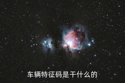 稅政科是干什么的，稅務局里的稅政科和征管科都有哪些功能